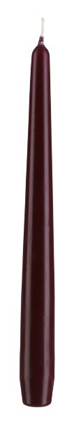 Kopschitz Kerzen Spitzkerzen Bordeaux 290 x Ø 23 mm, 12 Stück